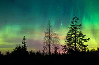 Tromso Northern Lights Tour