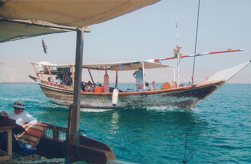 Opt for Boat Tours and Fjord Cruise Rides