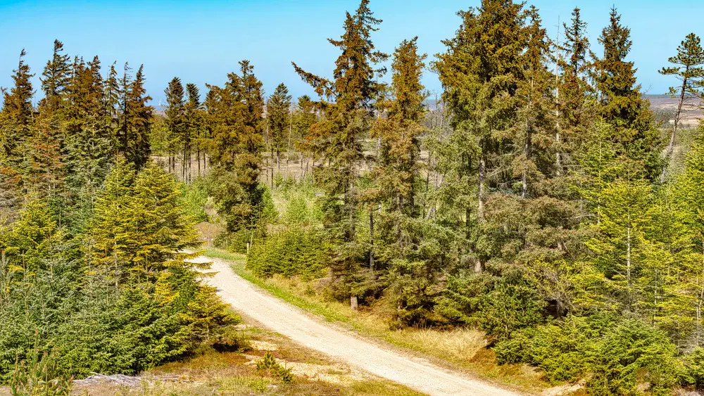 Thy National Park