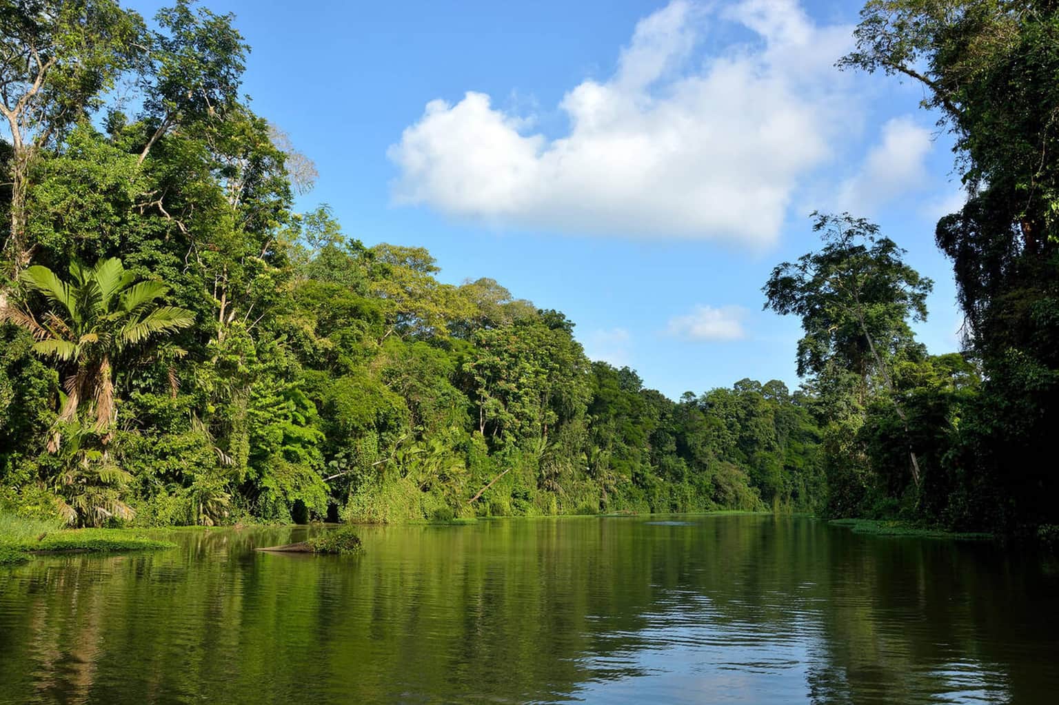 Tortuguero National Park