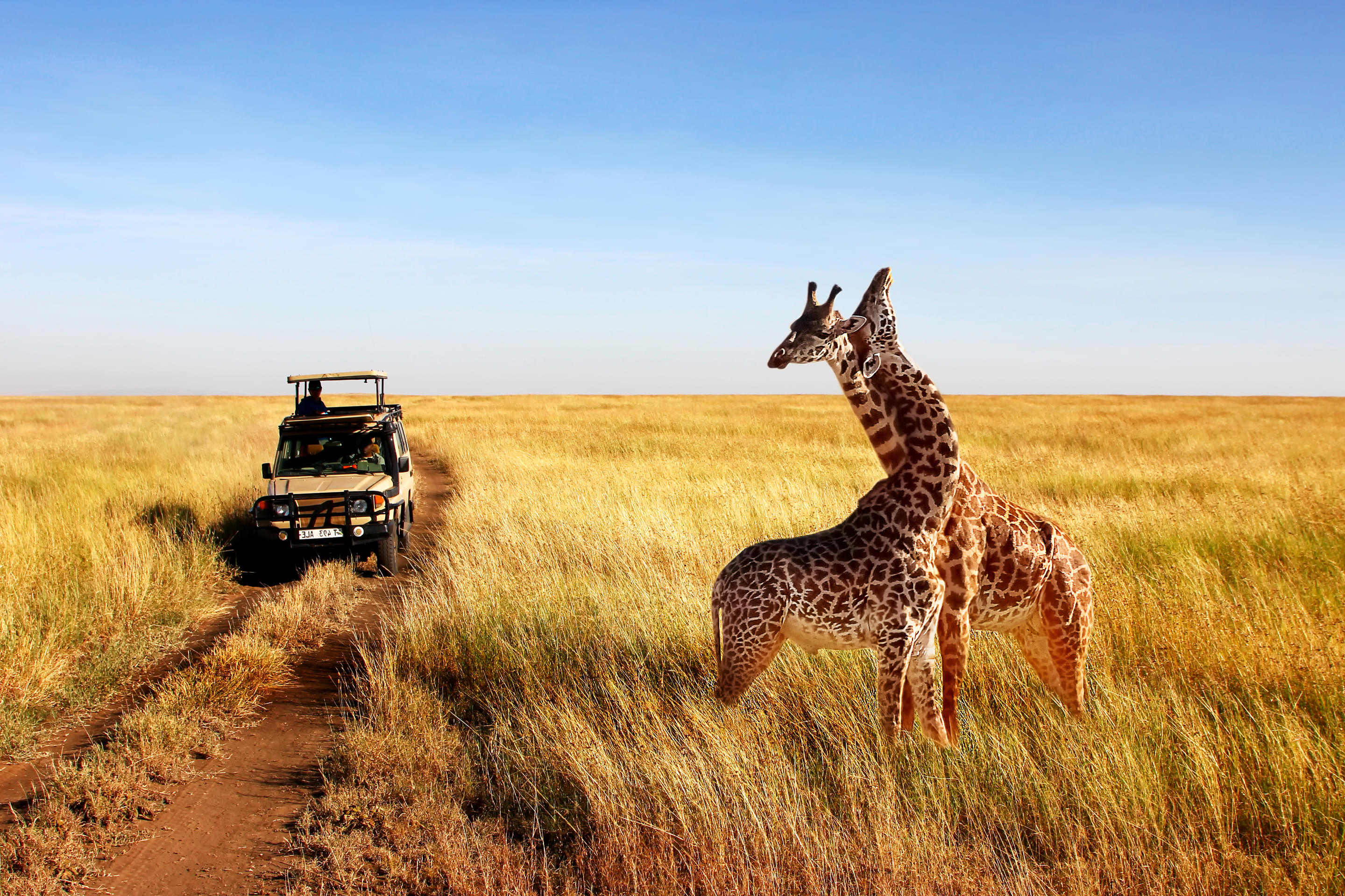 Tanzania Packages from Hyderabad | Get Upto 50% Off