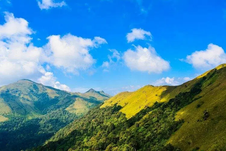 Thadiyandamol Betta Trek Start