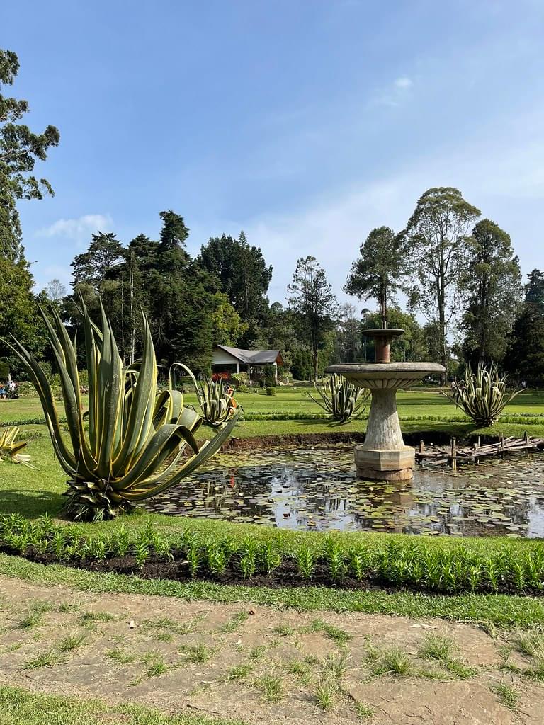 Victoria Park Nuwara Eliya Overview