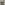 Currumbin Wildlife Sanctuary Tickets Image