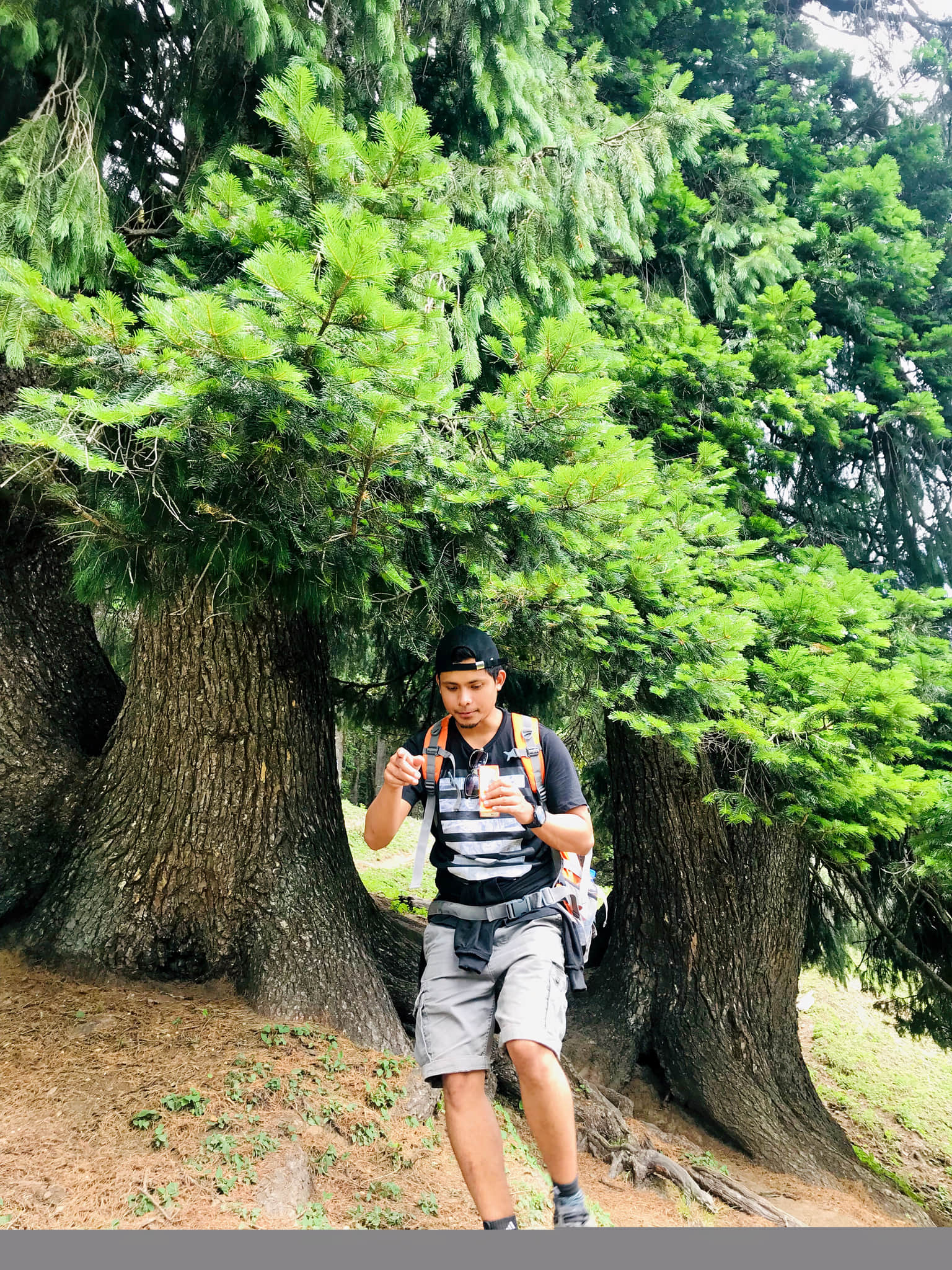 Photo from PRASENJIT HOJAI's trip