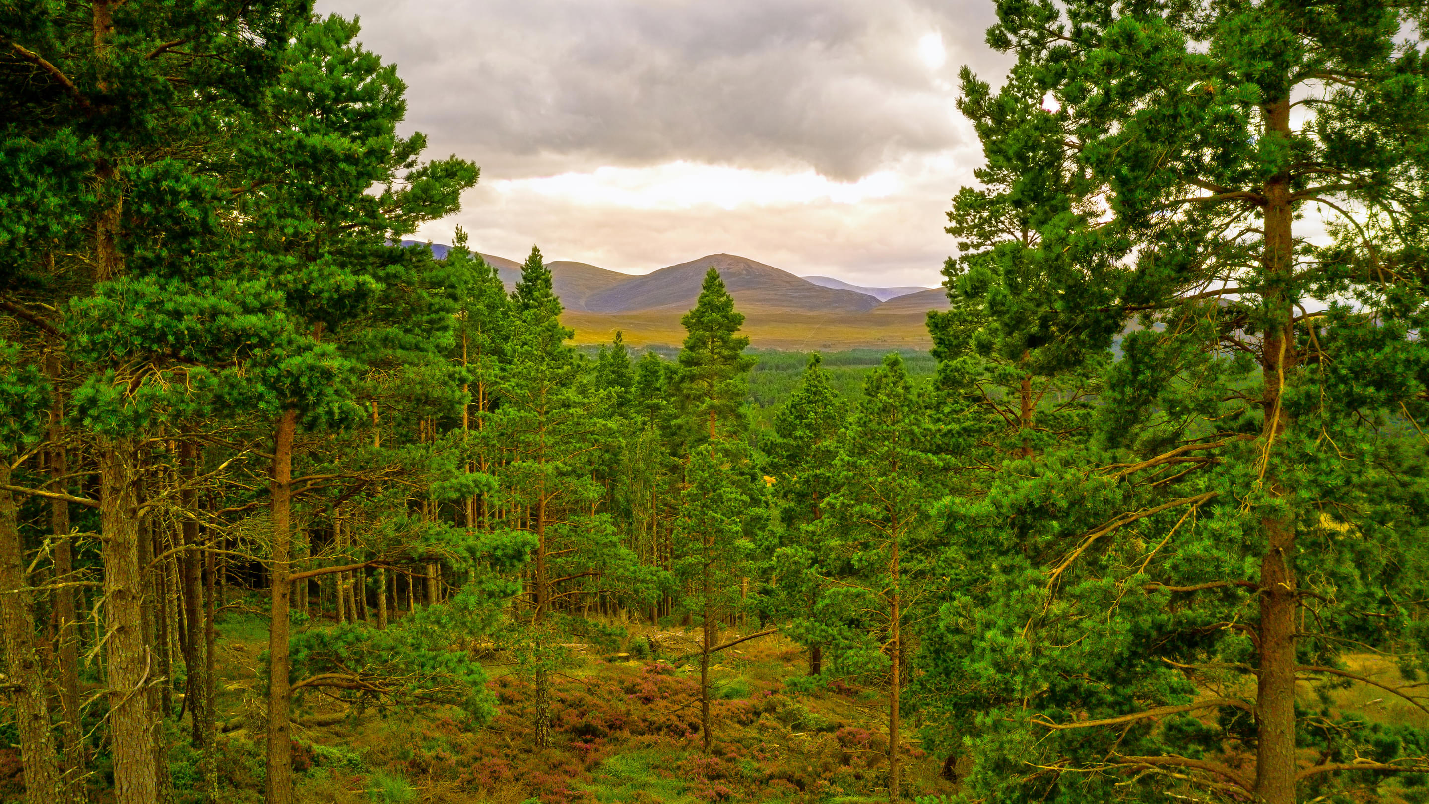 Cairngorms National Park Overview