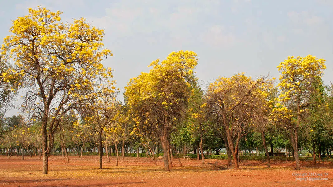 Sanjeevaiah Park