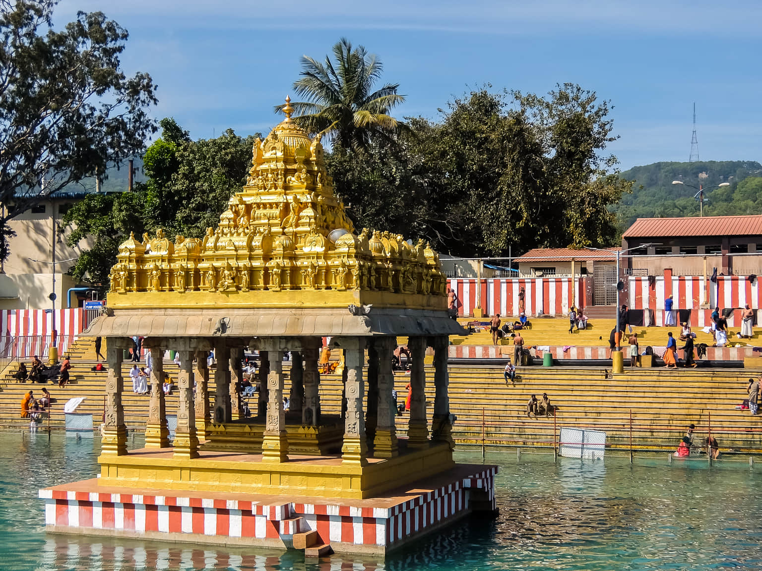 Swami Pushkarini, <em>Tirupati</em>