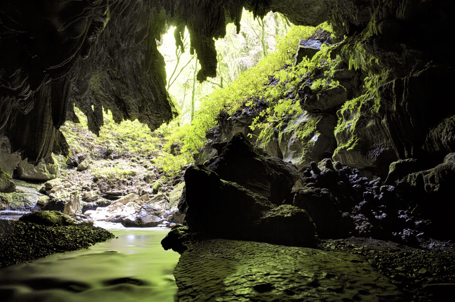 Day Trip to Limestone Caves at Baratang Island Image