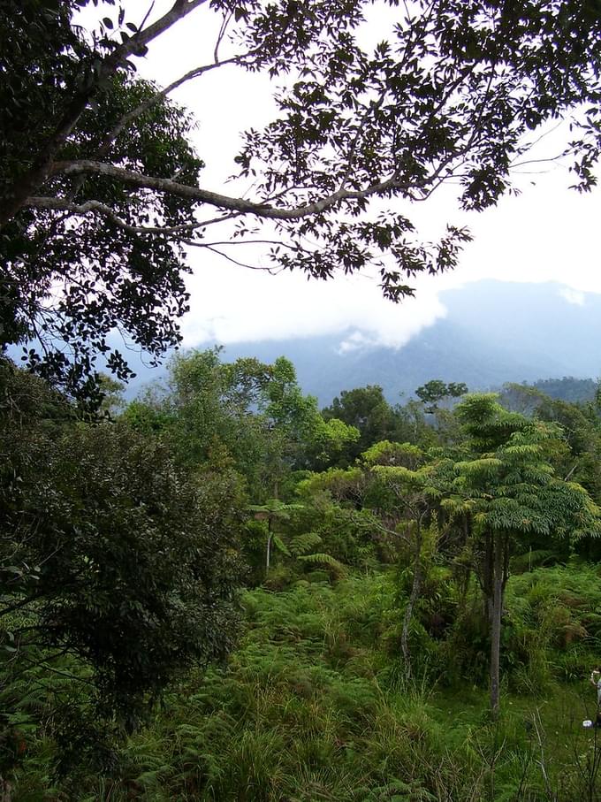 Bukit Kutu, Kuala Kubu Bahru