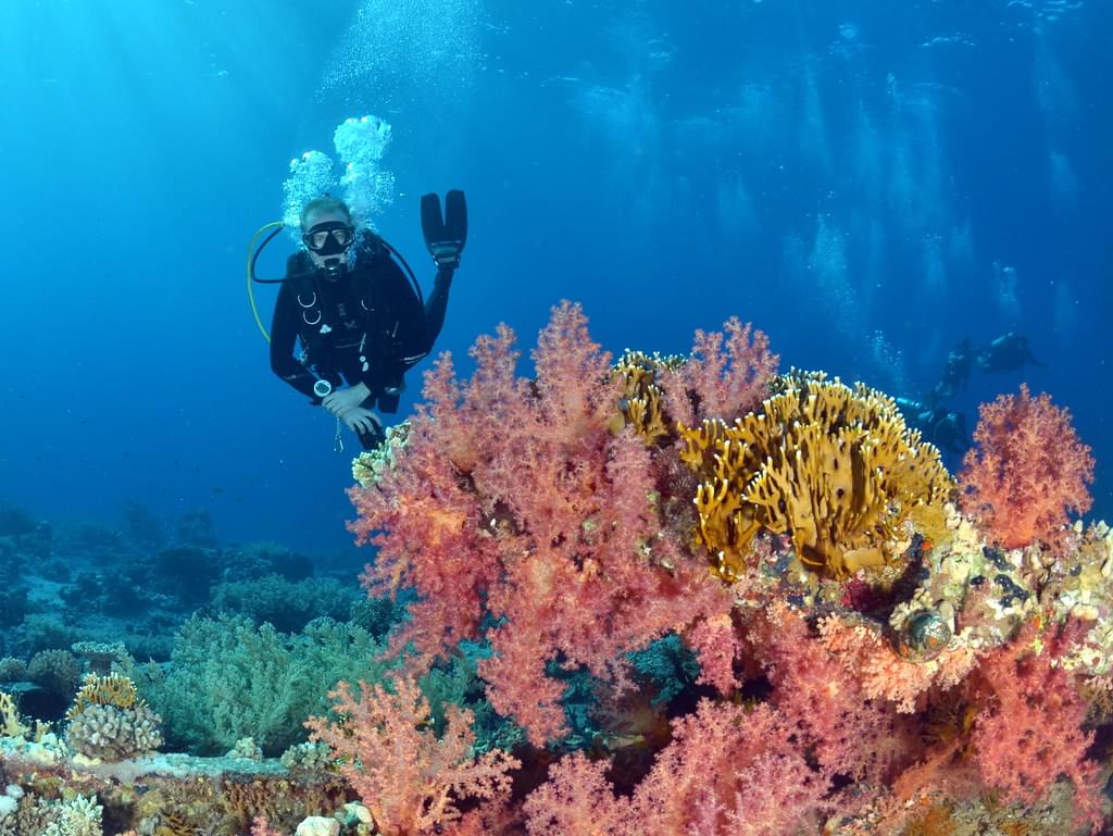 Explore the vibrant coral reefs of Dubai in your exciting scuba experience