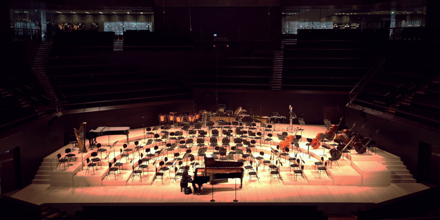 Enjoy musical performances