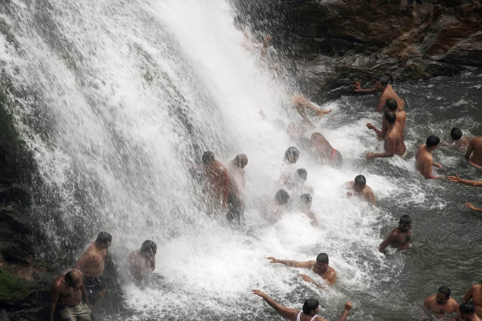 Take a refreshing dip in the pond