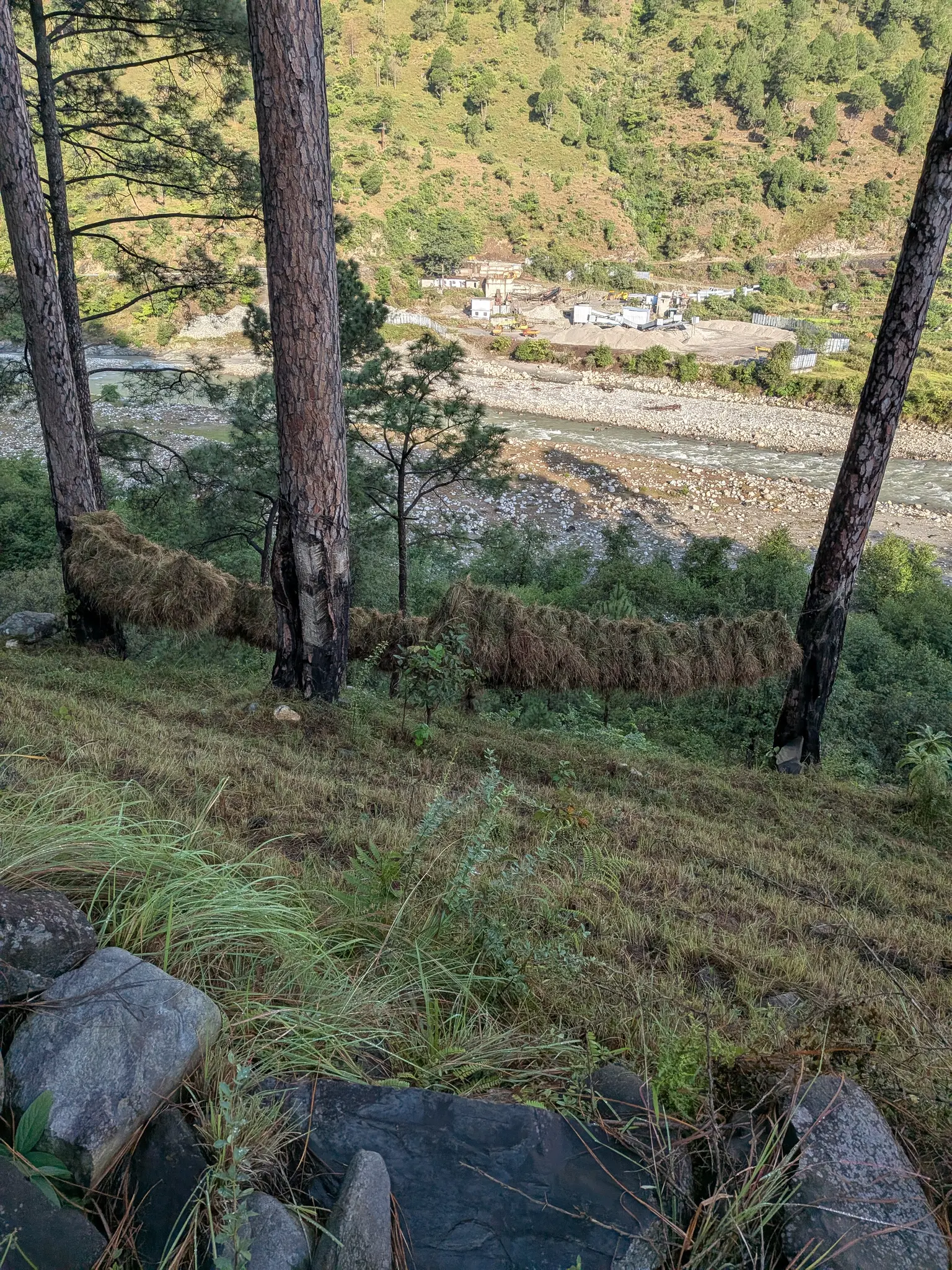 Photo from Ramesh Pallavoor's trip