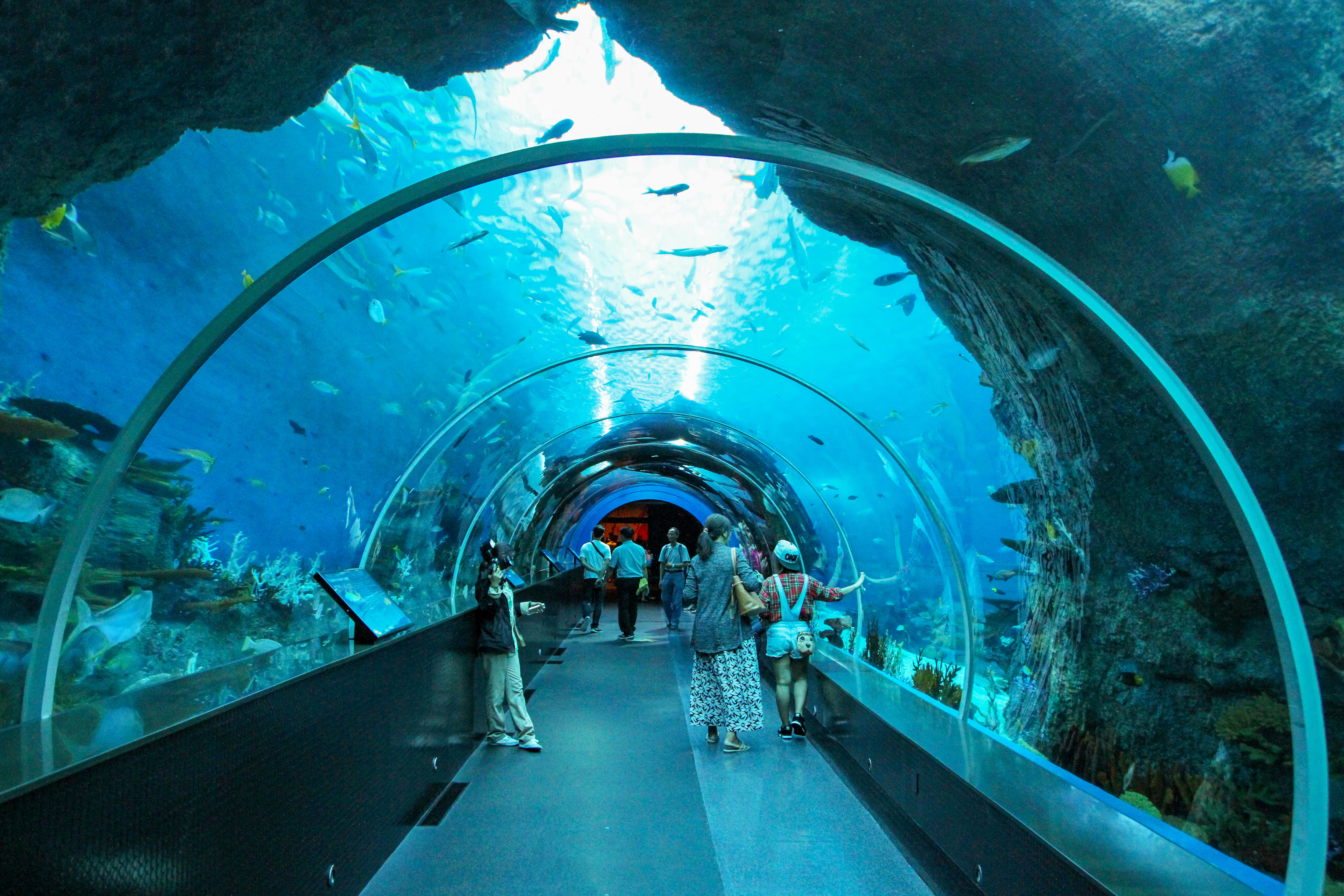 SEA Aquarium, Trickeye and Madame Tussauds Full Experience