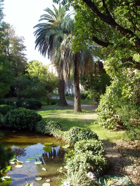 Botanical Garden of Pisa