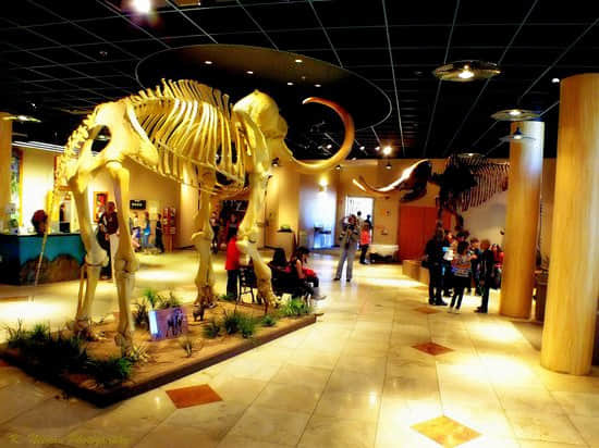 Treasures Of Africa Museum