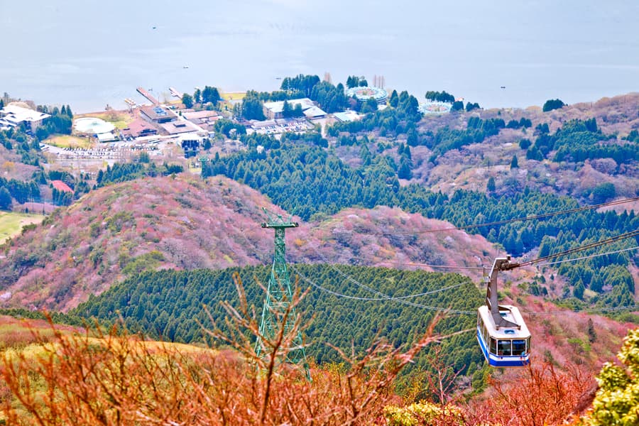 Mount Fuji and Hakone 1 Day Tour From Tokyo Image