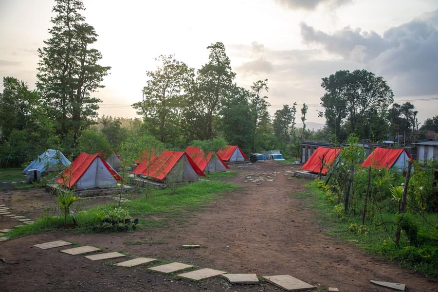 Bakor Nature Camp Image