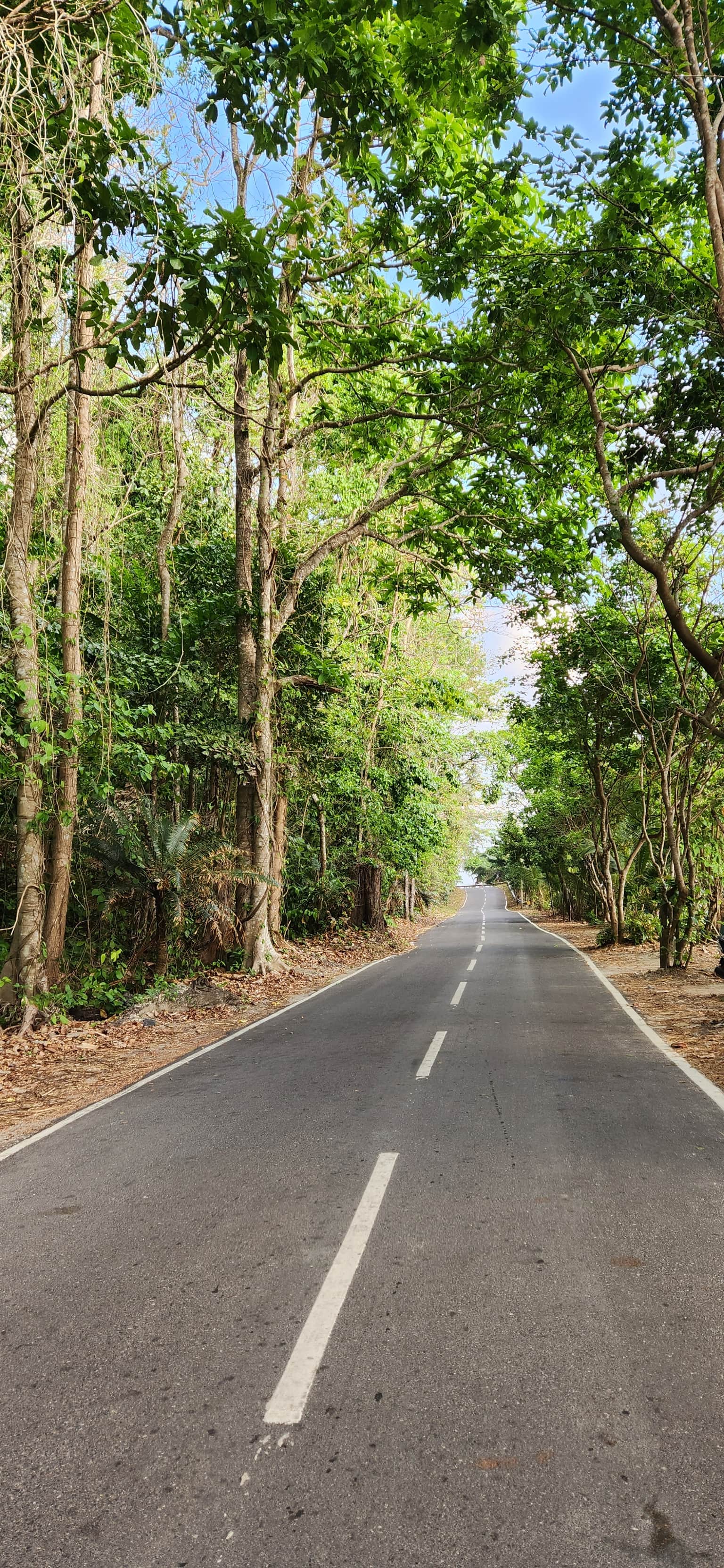 Photo from S. Mugilvanan's trip