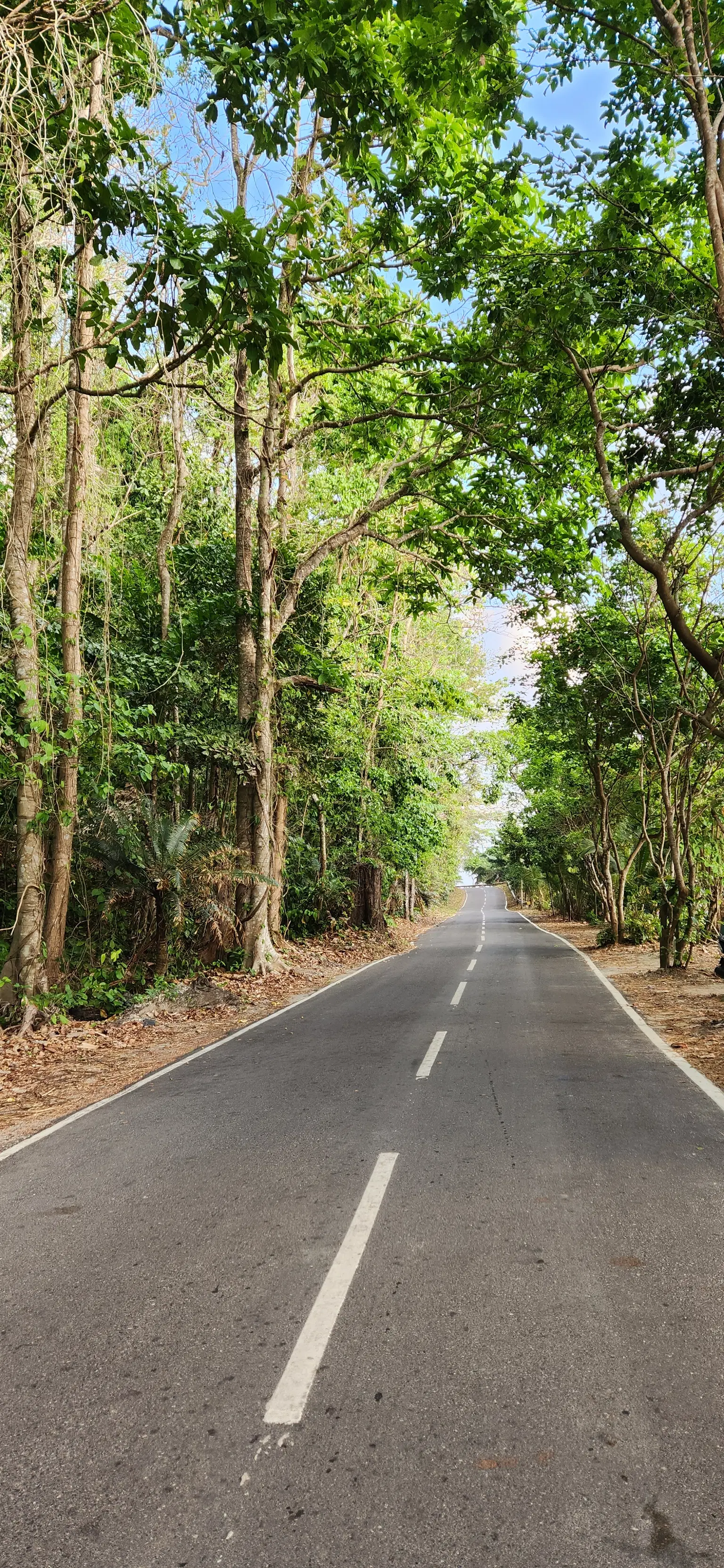 Photo from S. Mugilvanan's trip