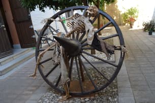 F7fnw0v9pkwpg9bi9qnzj6ovfvlp 02099e687e994eb29cc60562a12ed4eb