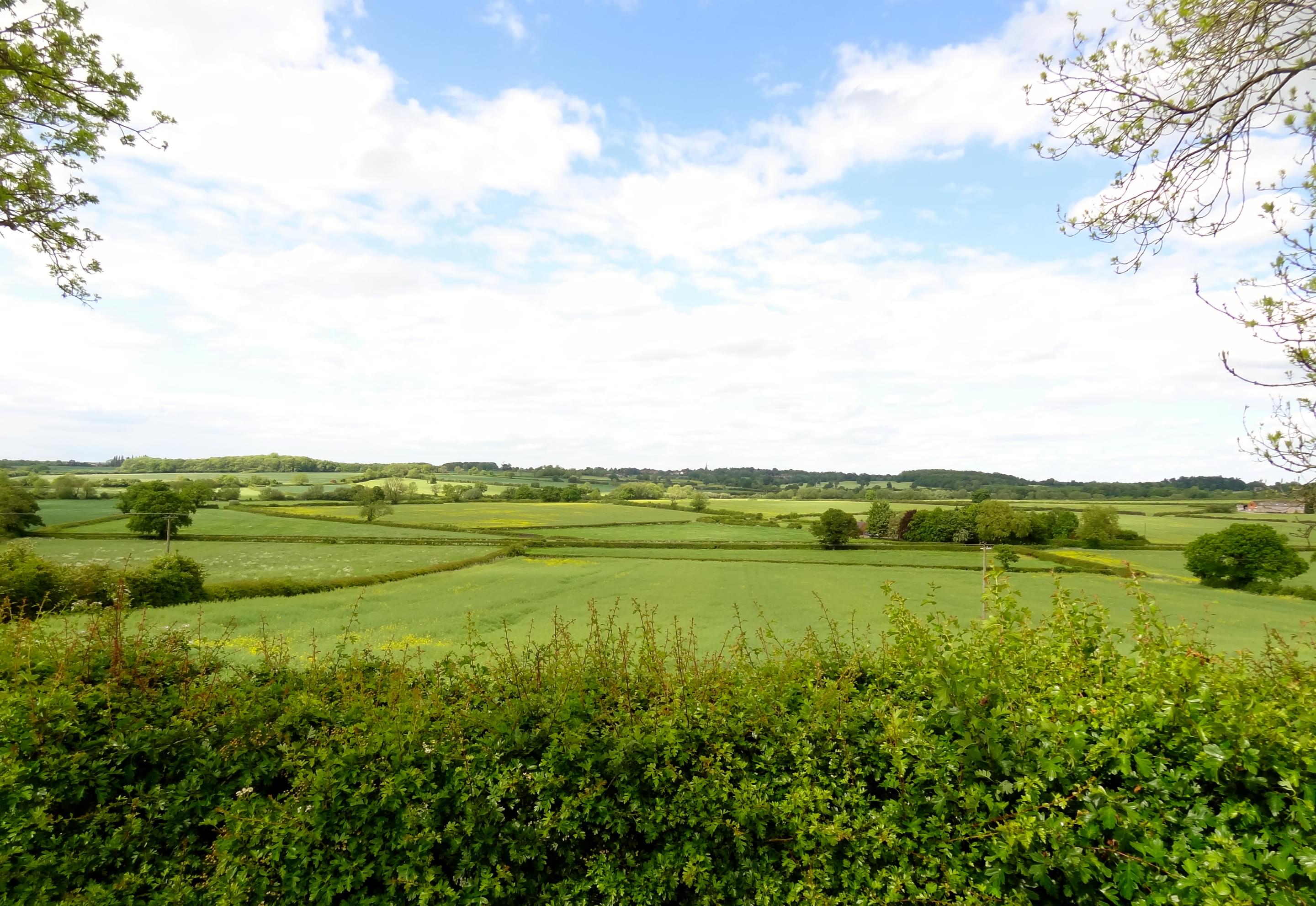 Bosworth Battlefield Overview