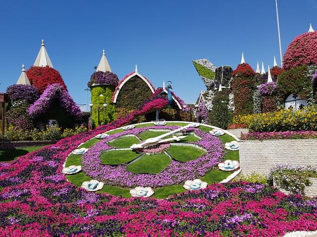 Dubai Miracle Garden Floral Clock