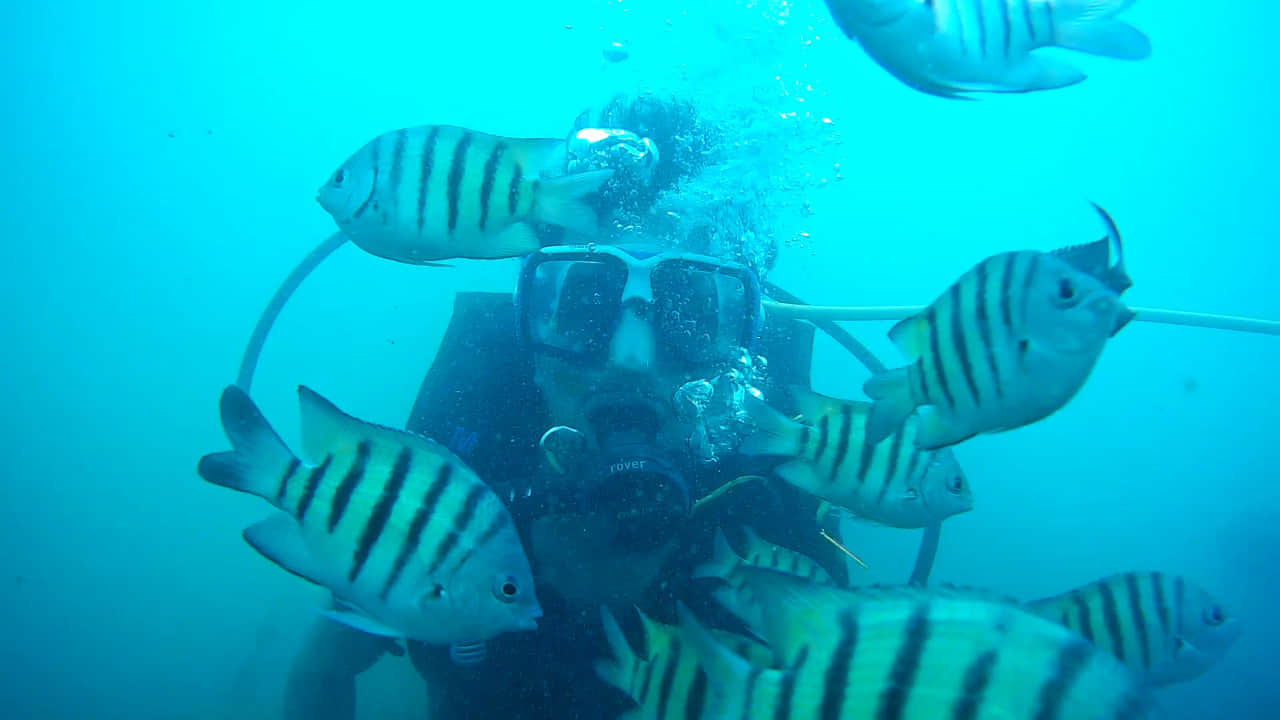 Photo from Ranish ismail's trip