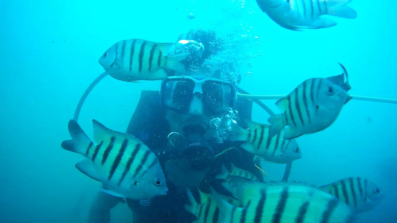 Photo from Ranish ismail's trip