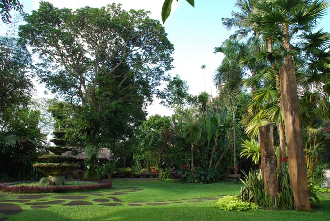 Family Tree at Don Antonio Blanco Museum