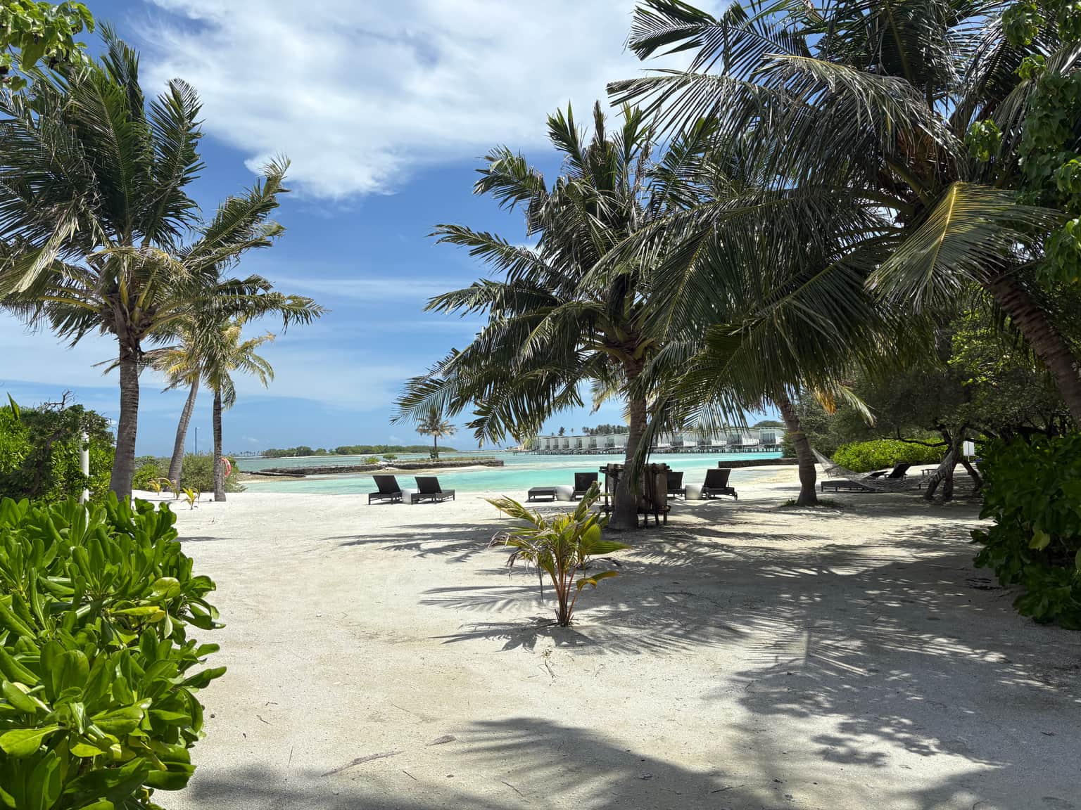 Photo from wahela manfoosh's trip