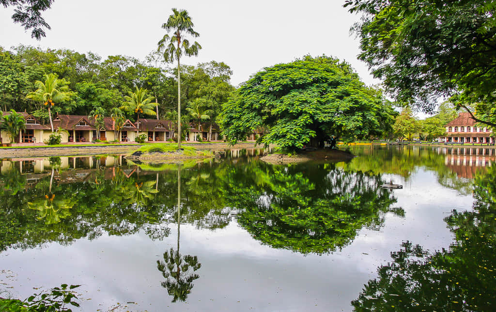 Kumarakom Backwaters