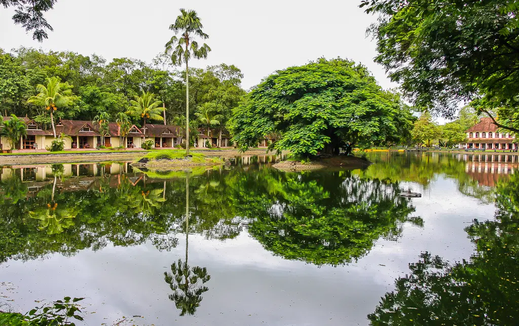 Kumarakom Backwaters