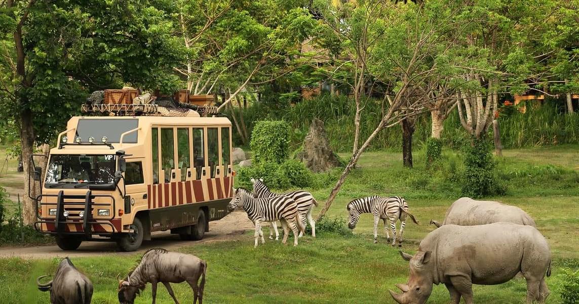Dubai Safari Park Tickets Offers