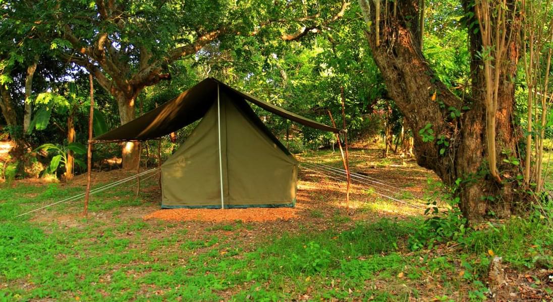 Luxury Camping Amidst Nature In Sakleshpur Image
