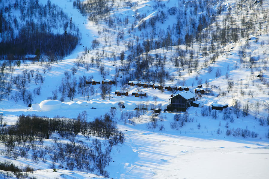 Arctic Norway - Winter In Wonderland Image