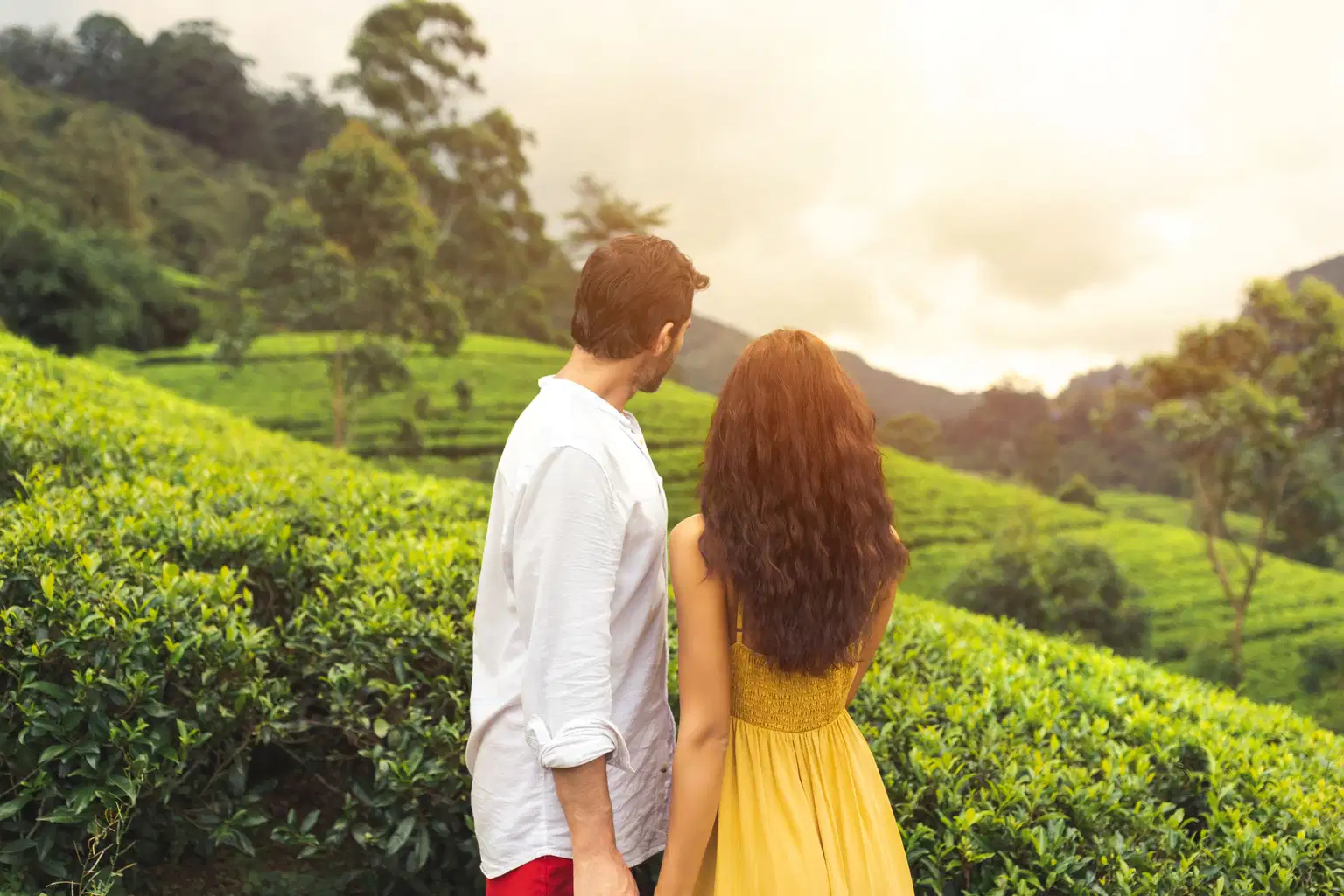 Best of Sri Lanka | Honeymoon Special