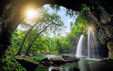 Khao Yai Tour Packages | Upto 50% Off May Mega SALE