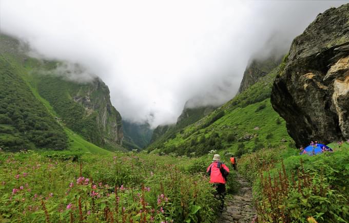 trek to valley of flowers