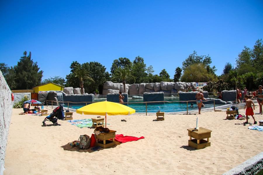 Enjoy a relaxing day at the swimming pool of the Zoo