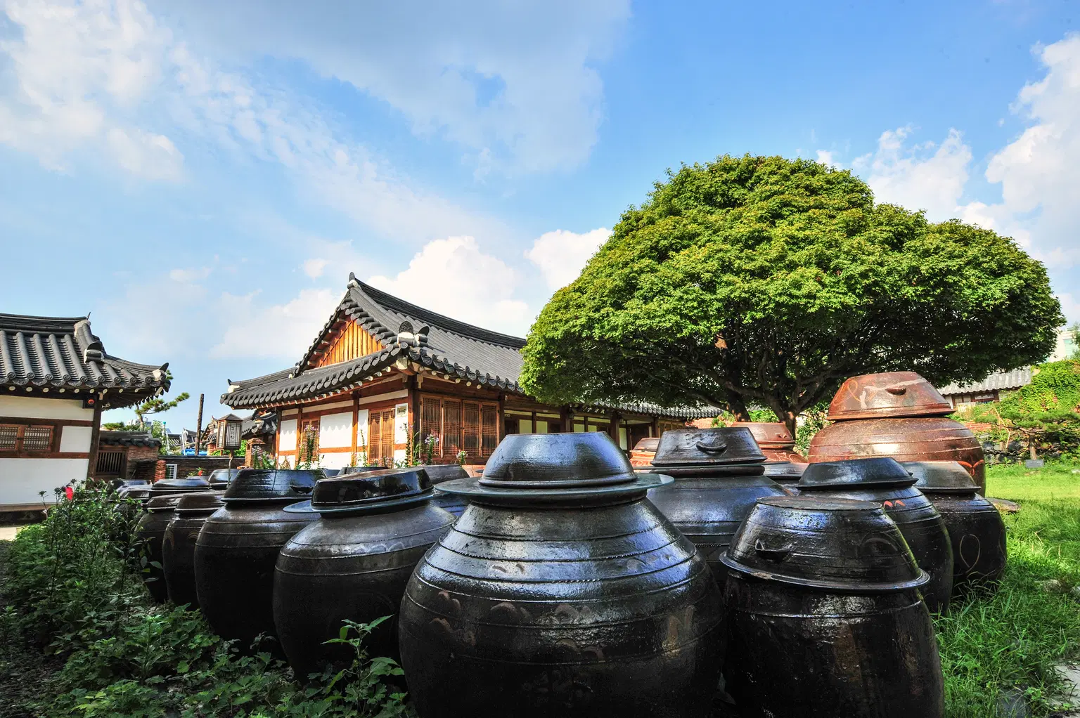 <em>South Korea</em> Tour Packages From Pune 