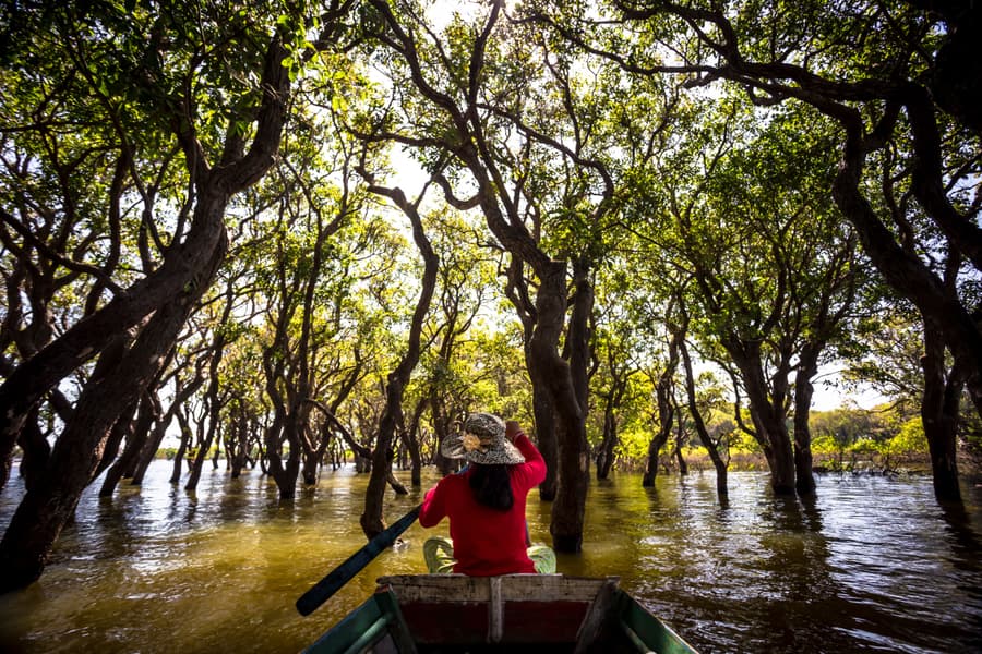 Boat Ride Tour of Tonle Sap Lake Image