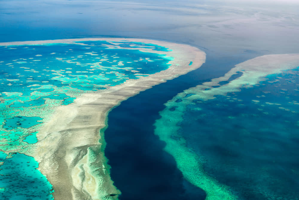 Great barrier Reef