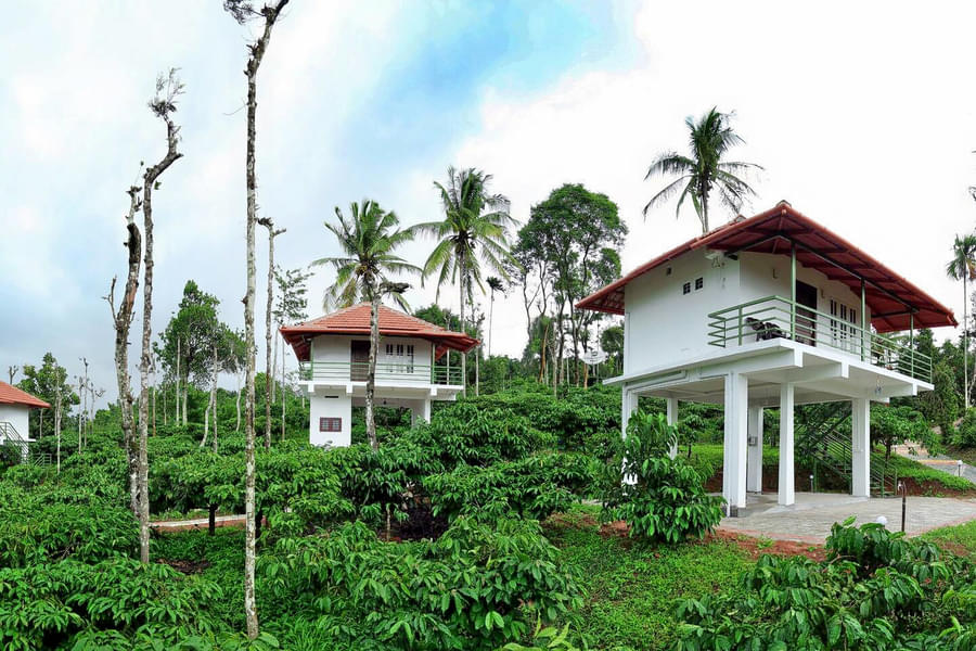 A Villa Stay Amidst Vast Coffee Plantations of Wayanad Image