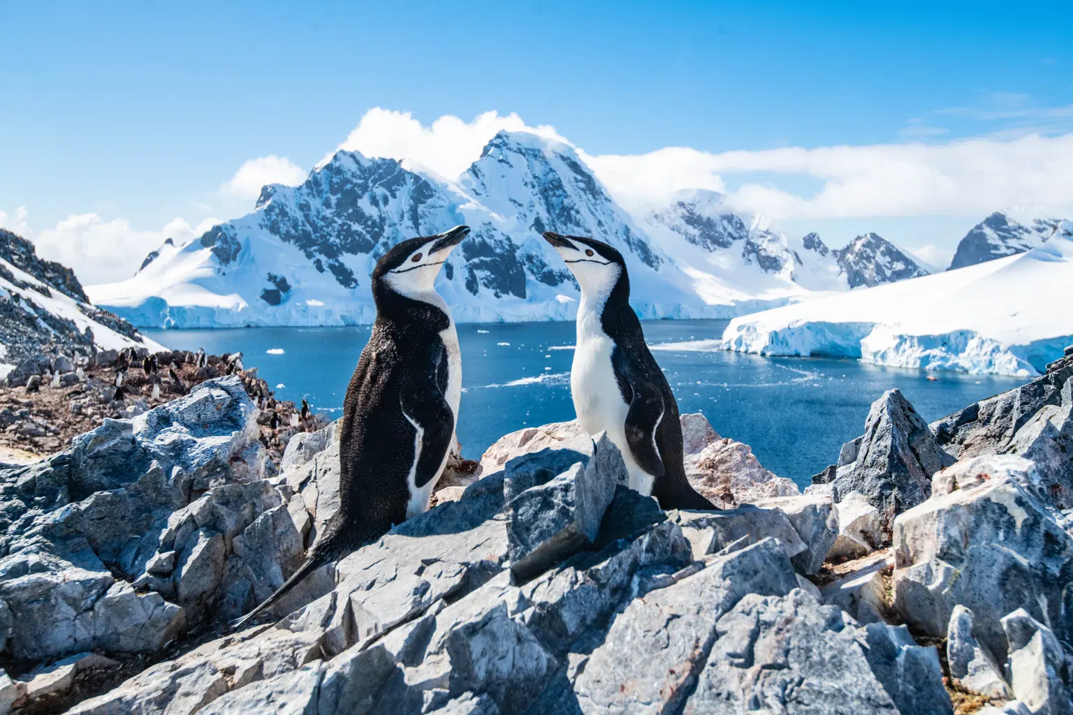 <em>Antarctica</em> Tour Packages From Ahmedabad 
