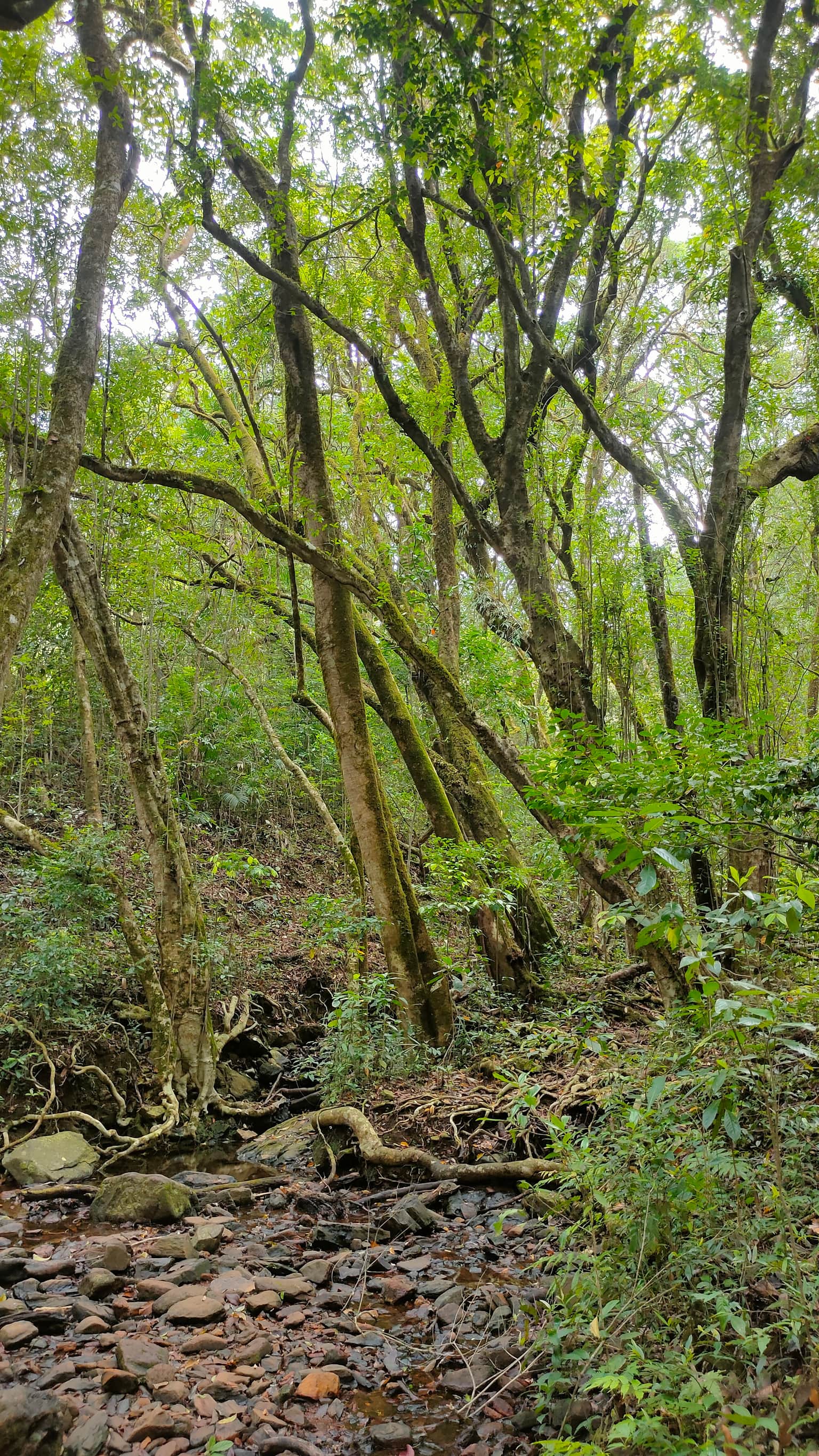Photo from Lalith Harish's trip