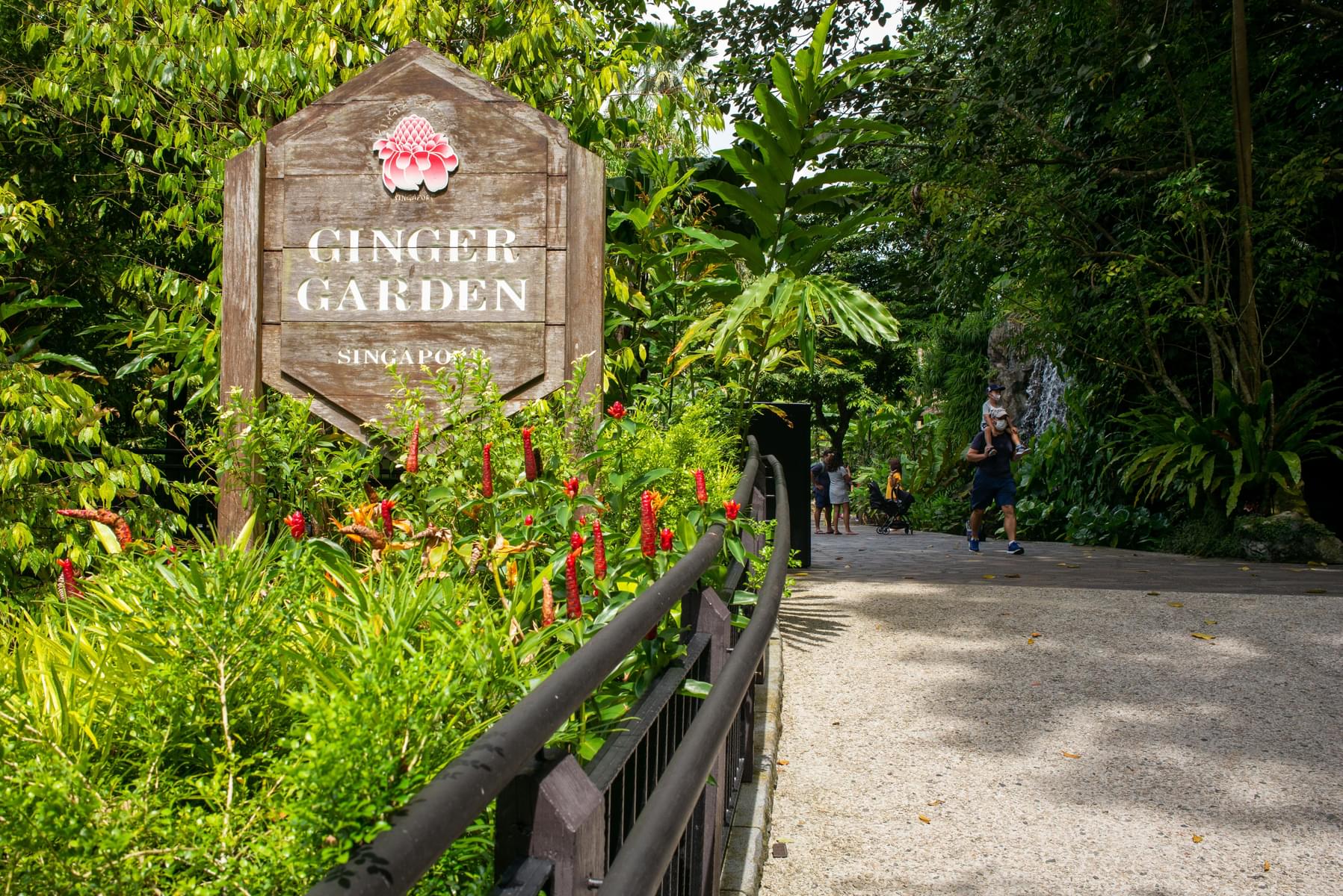 Visit Ginger Garden