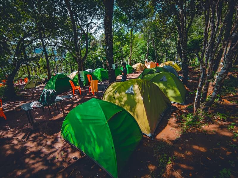 Camping in Munnar with Sunrise Jeep Safari Image