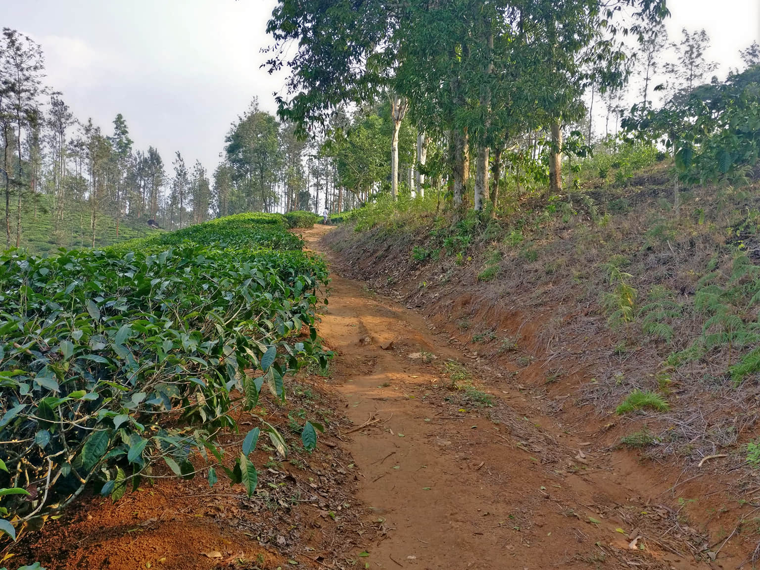 Photo from Deepak Sachdeva's trip